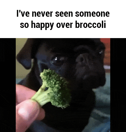 Kuža, ki je brokoli.