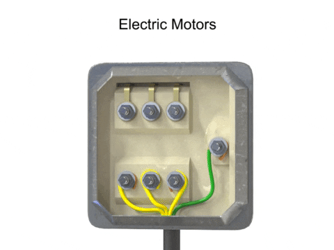 ELECTRIC MOTOR