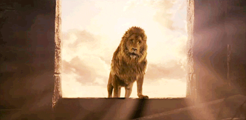 Gif of a lion stepping into the light.