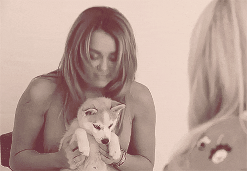 Resultado de imagem para miley cyrus dog gifs