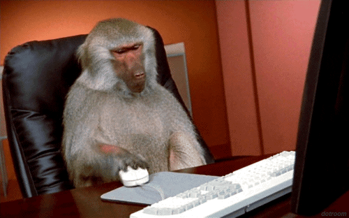 Un singe installé devant un bureau cliquant sur la souris de l’ordinateur