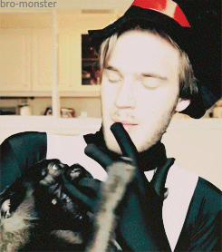 pewdiepie pug song pugs gif find on giphy pewdiepie pug song pugs gif find on giphy