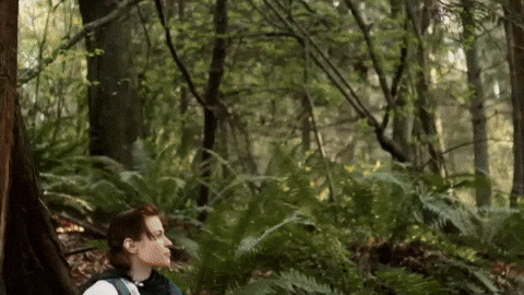 giphy.gif