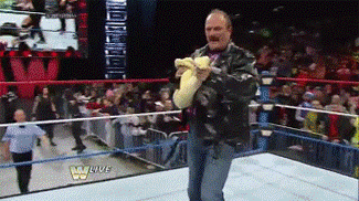 Jake Roberts Wwe GIF - Find & Share on GIPHY