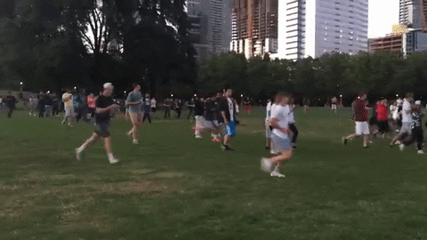 giphy.gif