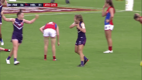 Afl Dockers GIF