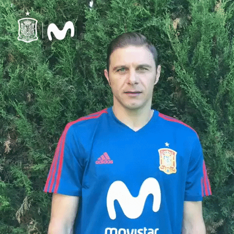 Joaquin Sanchez Futbol GIF