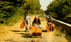 Wes Anderson GIF