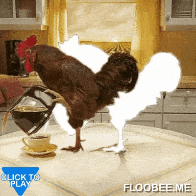 Chicken and coffee mug in gifgame gifs