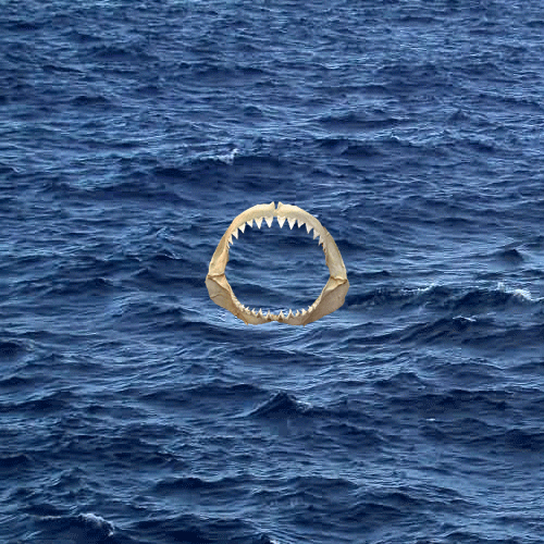 Week GIF Find & Share on GIPHY