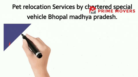 Pet transport service Bhopal