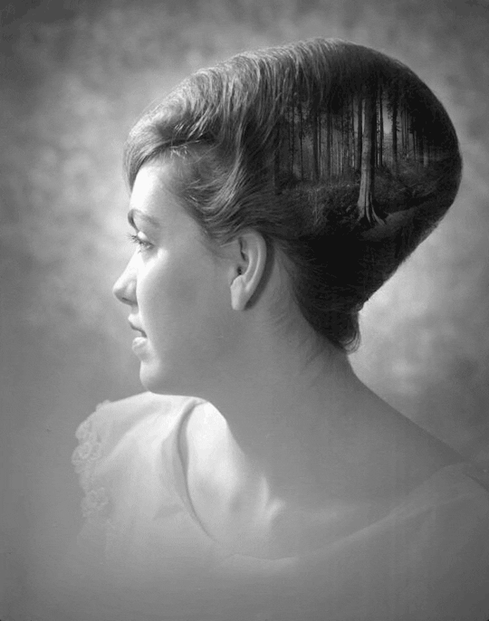 Hairstyles GIF Find & Share on GIPHY