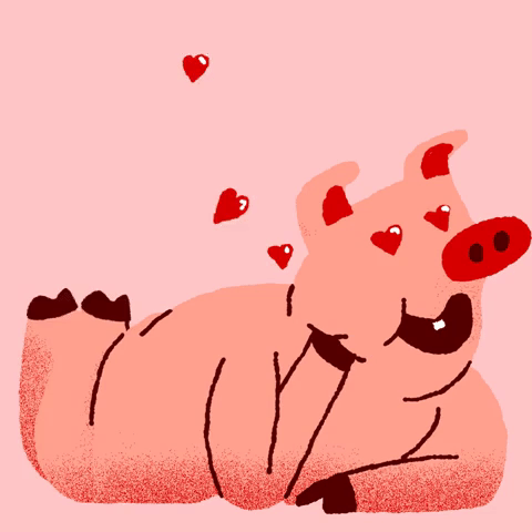 pig love gif