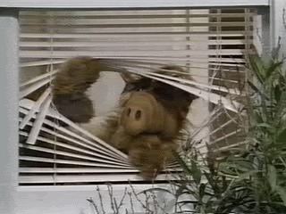 Alf neighbor gif