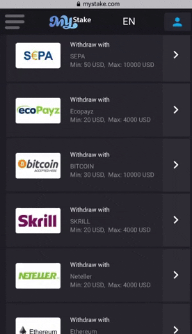 selection of payment choices on fruitychance