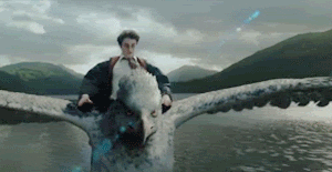 Harry Potter flying on a hippogriff