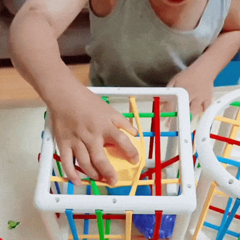 Brinquedo Infantil Caixa Desafiadora Sensorial