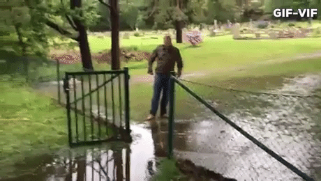 Stay Dry in funny gifs