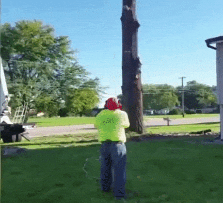 To infinity and beyond in funny gifs