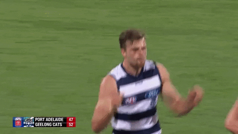 High Five Geelong Cats GIF