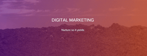 Digital GIF - Find & Share on GIPHY