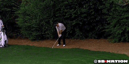 Tiger Woods Drama GIF - Find & Share on GIPHY