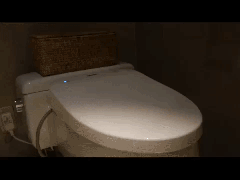 Park Hyatt Tokyo Toilet Review Million Mile Secrets