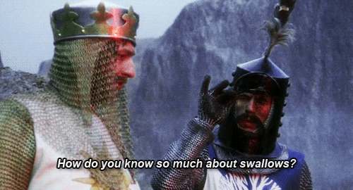 Monty Python GIF - Find & Share on GIPHY