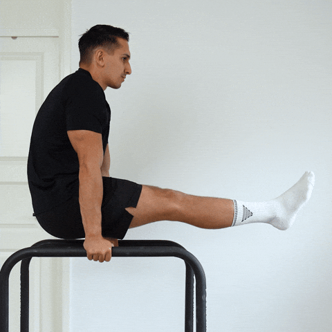 l sit hold exercise demonstration