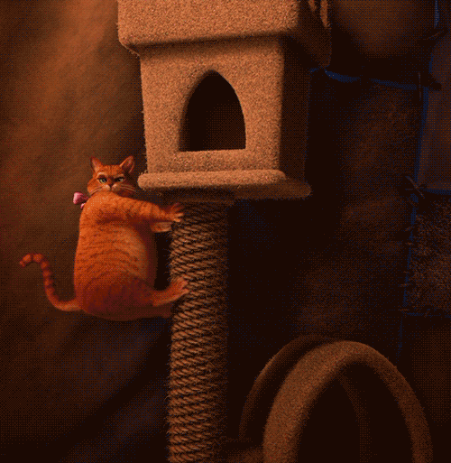 Puss In Boots Orange GIF
