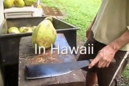 vs hawaii coconut trinidad