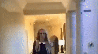 giphy.gif