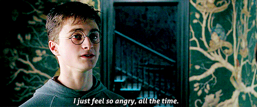 Harry Potter Memes, Page 20