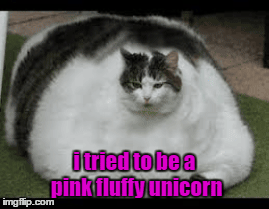 unicorns GIF