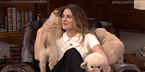 Drew Barrymore Puppies GIF - Find & Share on GIPHY