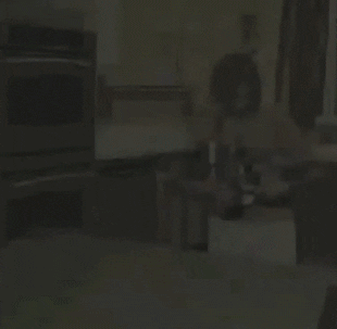 Struggle Cooking GIF - Find & Share on GIPHY