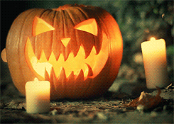 halloween pumpkin jack o lantern pumpkins GIF