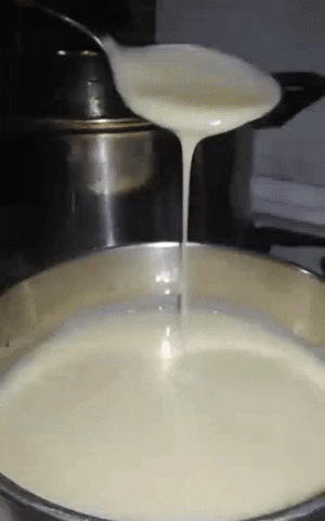 giphy.gif