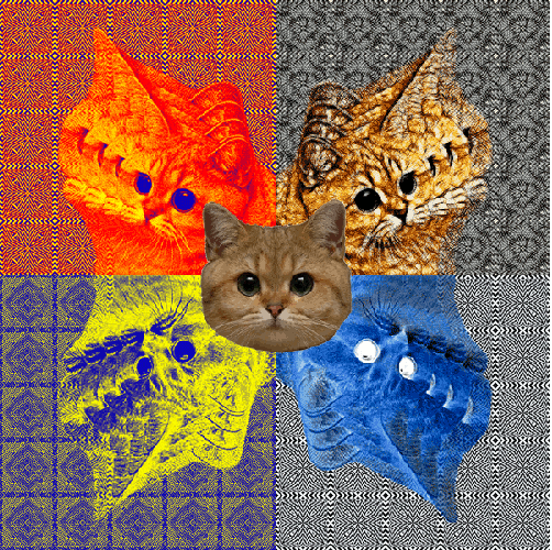 Cat Watching GIF Find & Share on GIPHY