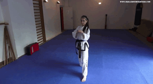 Get Martial Arts Anime Kick Gif PNG