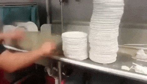 Dish GIF - Find & Share on GIPHY