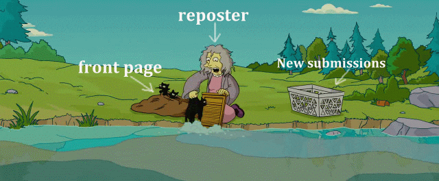 giphy.gif