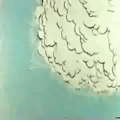 giphy.gif