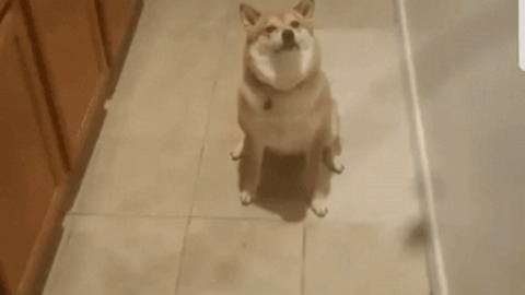 Heeee best Gif