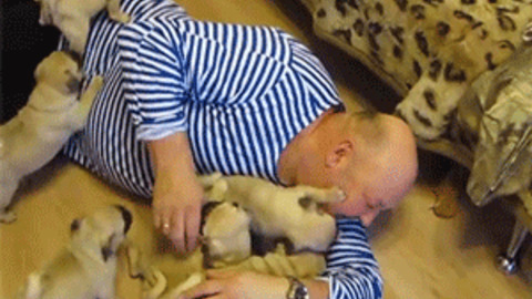 Puppies Love best Gif