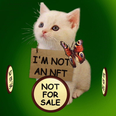 el gato no quiere ser un nft.- Blog Hola Telcel