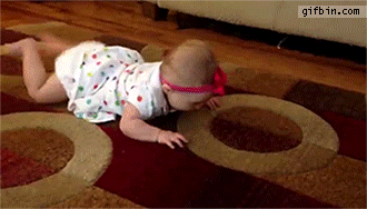 imagenes gif,imagenes graciosas, las mejores imagenes, imagenes graciosas, chistes, risas