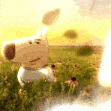Gif