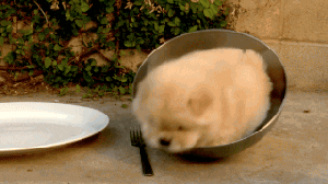 [Image: giphy.gif]