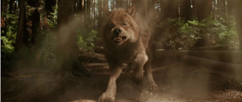 Wolves GIF
